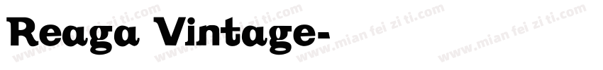 Reaga Vintage字体转换